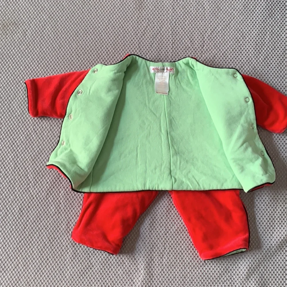 Anne Geddes Baby Ladybug Matching Set